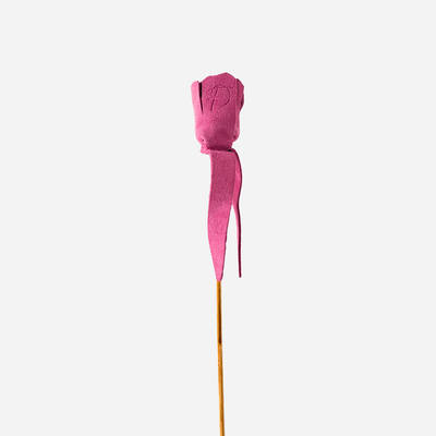 Rosa em Pele Felitchi Cuero
